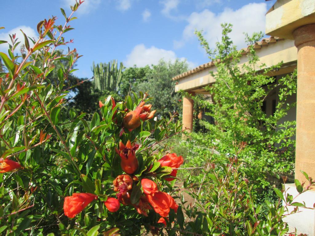 A Giummara Guest House มาร์ซาลา ภายนอก รูปภาพ