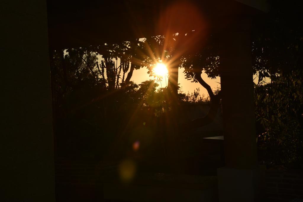 A Giummara Guest House มาร์ซาลา ภายนอก รูปภาพ
